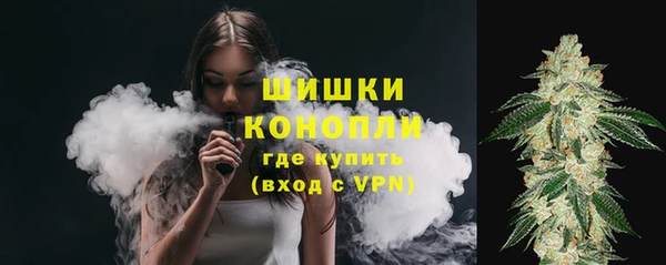 ГАЛЛЮЦИНОГЕННЫЕ ГРИБЫ Балахна