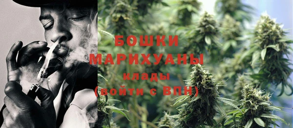 дурь Надым