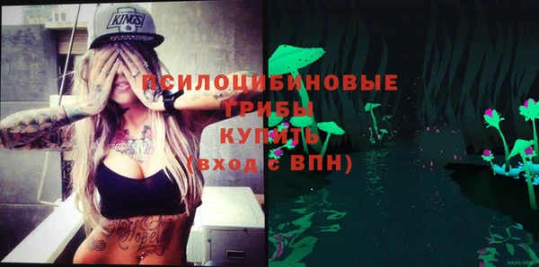 ГАЛЛЮЦИНОГЕННЫЕ ГРИБЫ Балахна