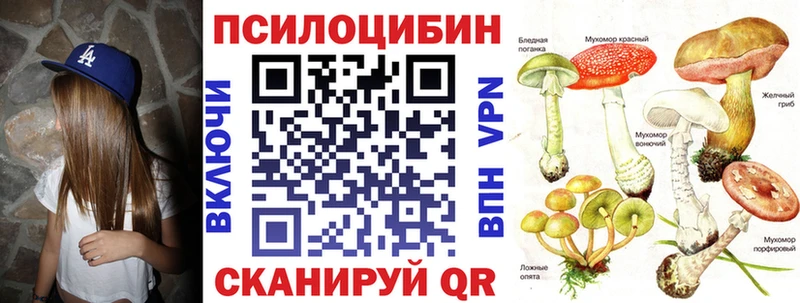 что такое   Циолковский  OMG зеркало  Галлюциногенные грибы прущие грибы 